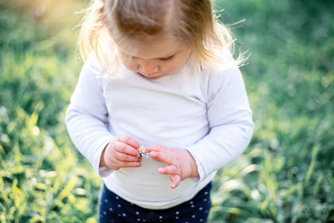 Un bébé, vêtu d'une veste en jean à motifs ponctués, manipule délicatement une marguerite dans un champ verdoyant.