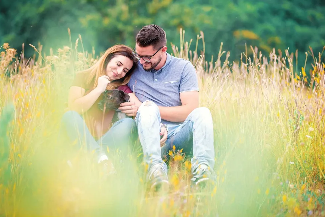 Un couple heureux s'embrasse avec son chien dans un champ de blé mûr.