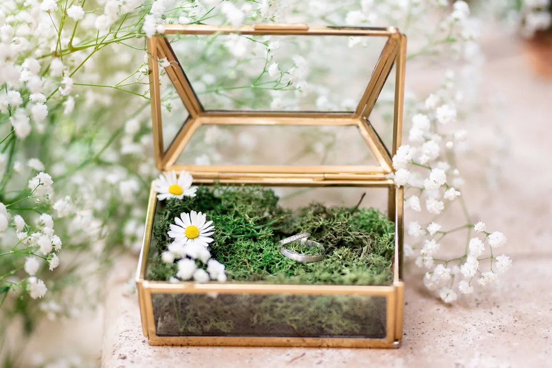 Boîte en verre avec mousse et bagues de mariage