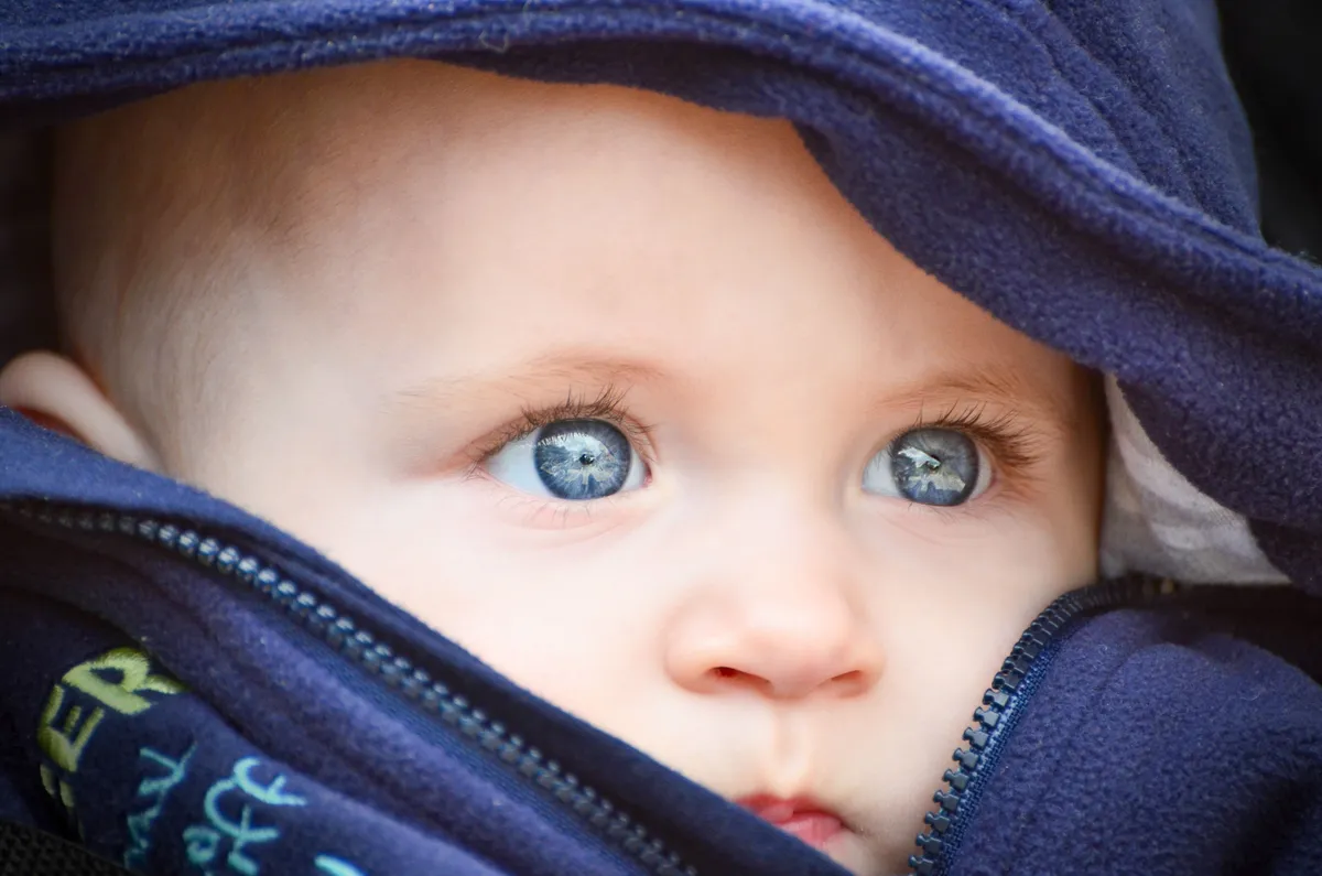 Bébé aux yeux bleus, enveloppé dans un pull bleu foncé avec une fermeture éclair visible.