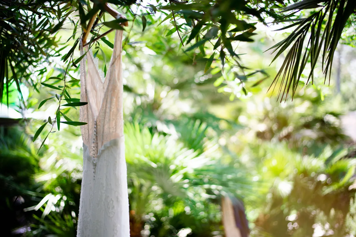 Tronc d'arbre nu, recouvert de feuilles verdâtres, dans un jardin tropical lumineux.