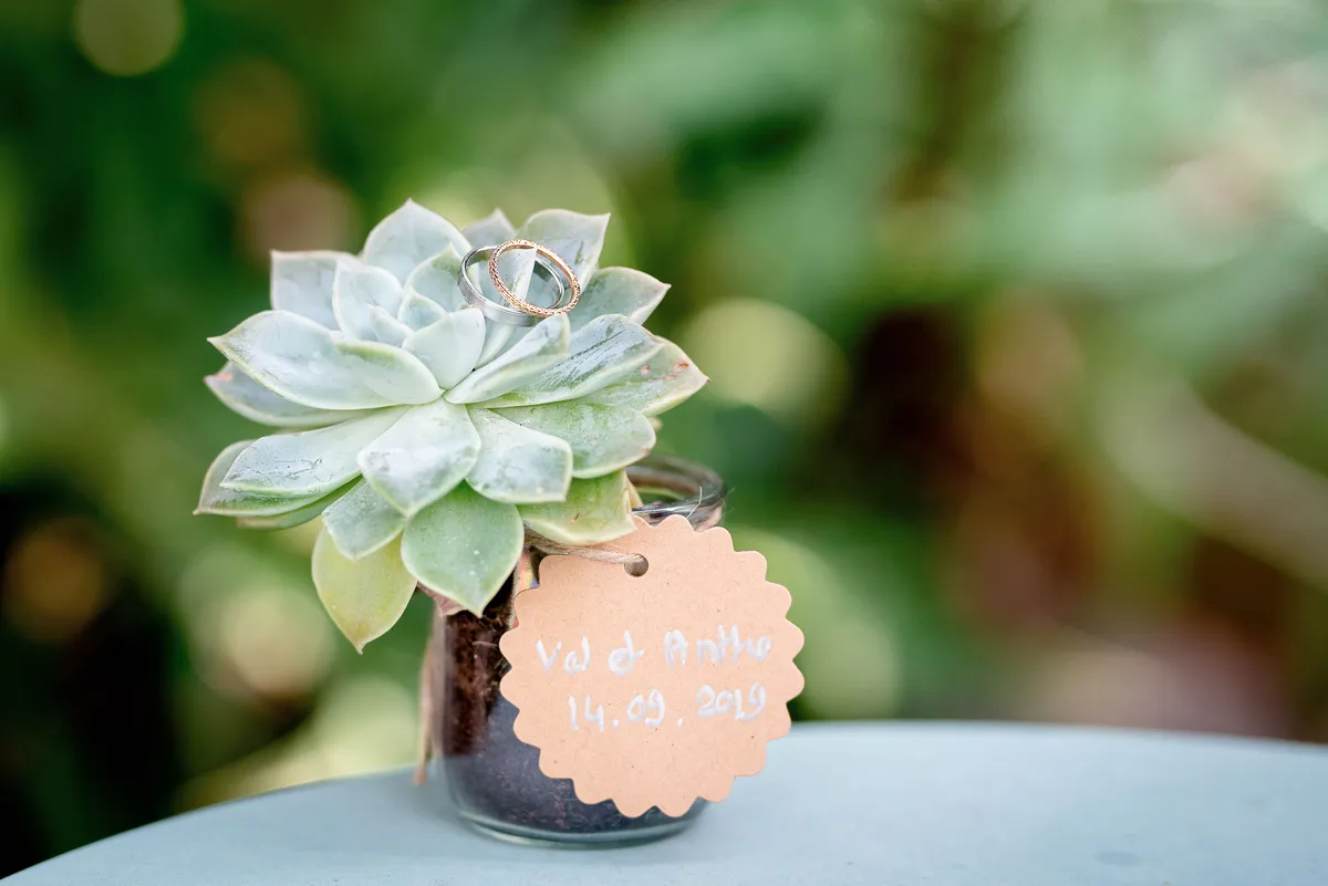 Pot de mariage avec une succulente et un anneau de fiançailles.