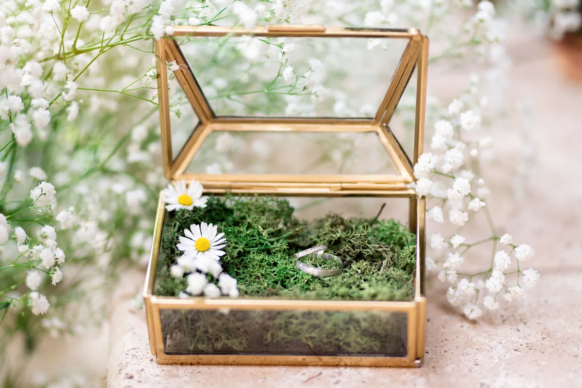 Boîte en verre avec mousse et bagues de mariage
